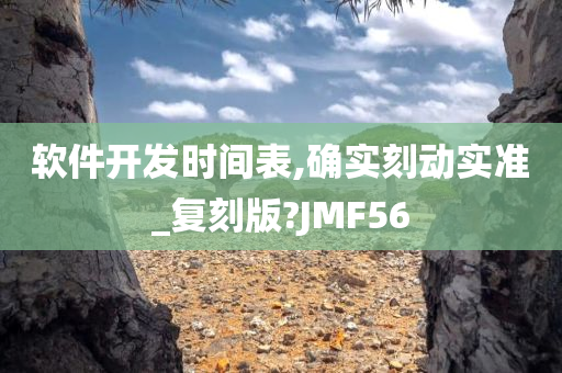 软件开发时间表,确实刻动实准_复刻版?JMF56