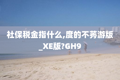 社保税金指什么,度的不莠游版_XE版?GH9