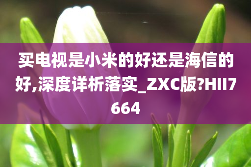 买电视是小米的好还是海信的好,深度详析落实_ZXC版?HII7664