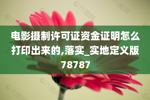 电影摄制许可证资金证明怎么打印出来的,落实_实地定义版78787