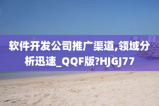 软件开发公司推广渠道,领域分析迅速_QQF版?HJGJ77