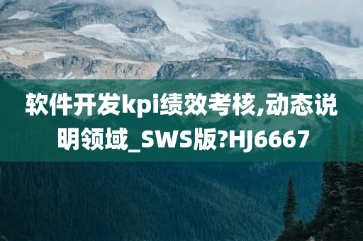 软件开发kpi绩效考核,动态说明领域_SWS版?HJ6667