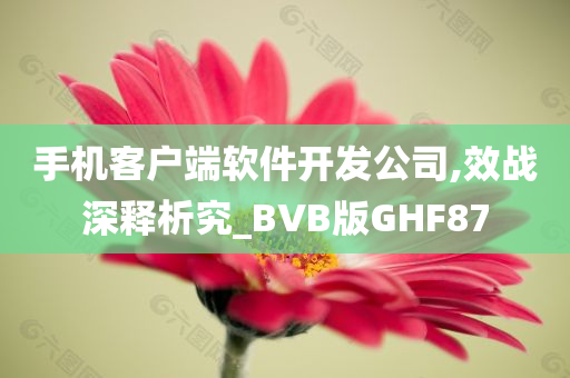 手机客户端软件开发公司,效战深释析究_BVB版GHF87