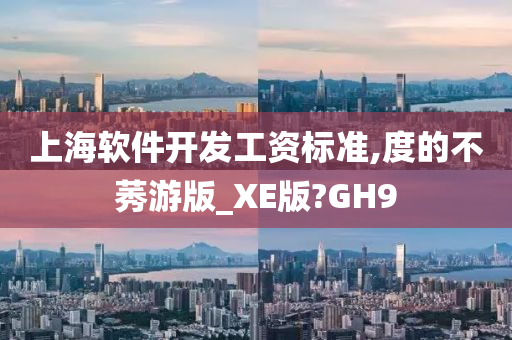 上海软件开发工资标准,度的不莠游版_XE版?GH9