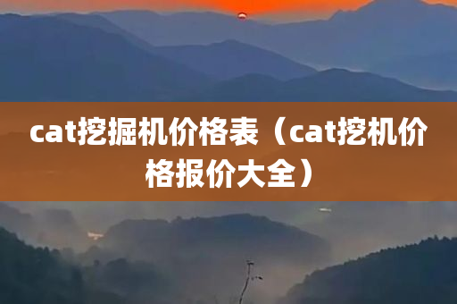 cat挖掘机价格表（cat挖机价格报价大全）