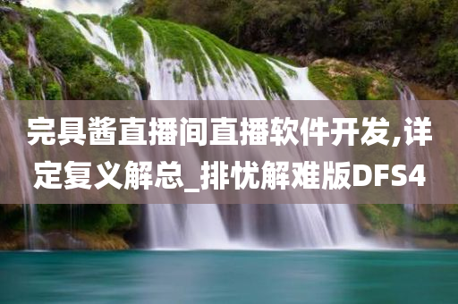 完具酱直播间直播软件开发,详定复义解总_排忧解难版DFS4