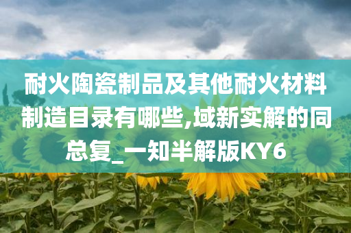 耐火陶瓷制品及其他耐火材料制造目录有哪些,域新实解的同总复_一知半解版KY6