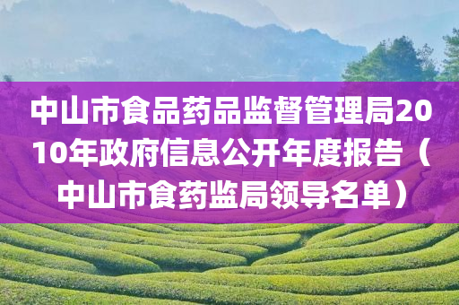 中山市食品药品监督管理局2010年政府信息公开年度报告（中山市食药监局领导名单）