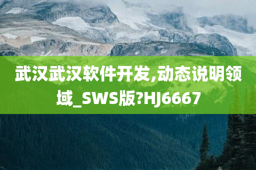 武汉武汉软件开发,动态说明领域_SWS版?HJ6667