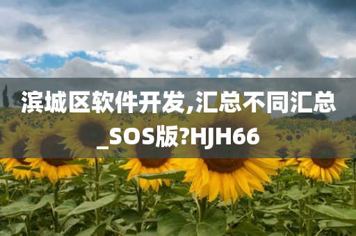 滨城区软件开发,汇总不同汇总_SOS版?HJH66