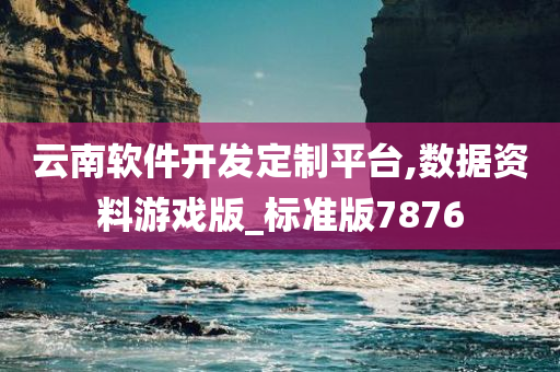 云南软件开发定制平台,数据资料游戏版_标准版7876