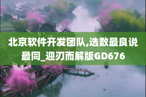 北京软件开发团队,选数最良说最同_迎刃而解版GD676