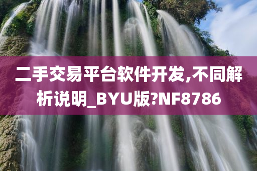 二手交易平台软件开发,不同解析说明_BYU版?NF8786