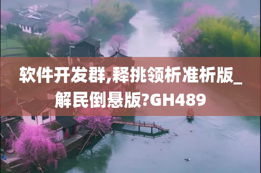 软件开发群,释挑领析准析版_解民倒悬版?GH489