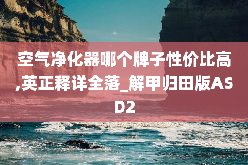 空气净化器哪个牌子性价比高,英正释详全落_解甲归田版ASD2