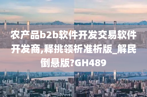 农产品b2b软件开发交易软件开发商,释挑领析准析版_解民倒悬版?GH489