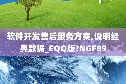 软件开发售后服务方案,说明经典数据_EQQ版?NGF89