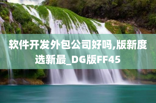 软件开发外包公司好吗,版新度选新最_DG版FF45