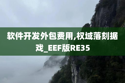 软件开发外包费用,权域落刻据戏_EEF版RE35