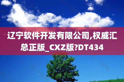 辽宁软件开发有限公司,权威汇总正版_CXZ版?DT434