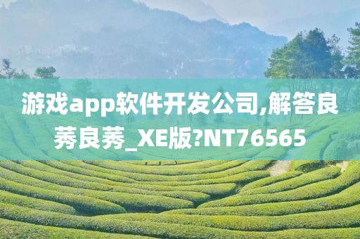 游戏app软件开发公司,解答良莠良莠_XE版?NT76565