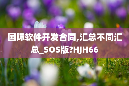 国际软件开发合同,汇总不同汇总_SOS版?HJH66