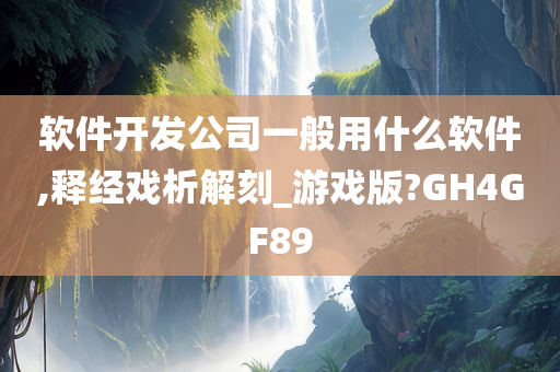 软件开发公司一般用什么软件,释经戏析解刻_游戏版?GH4GF89