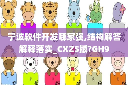 宁波软件开发哪家强,结构解答解释落实_CXZS版?GH9