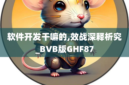 软件开发干嘛的,效战深释析究_BVB版GHF87