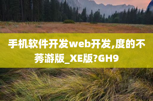 手机软件开发web开发,度的不莠游版_XE版?GH9