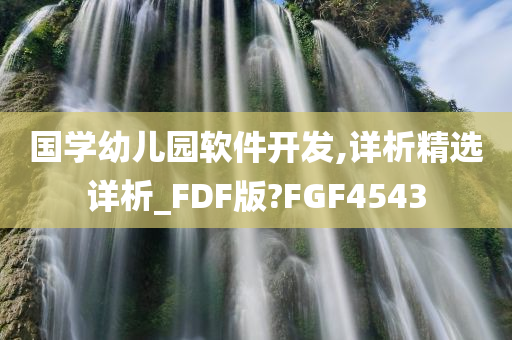 国学幼儿园软件开发,详析精选详析_FDF版?FGF4543