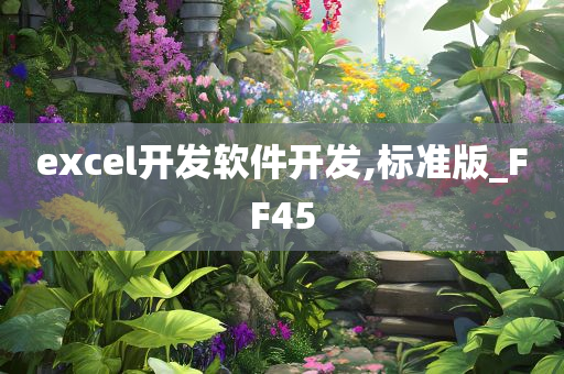 excel开发软件开发,标准版_FF45