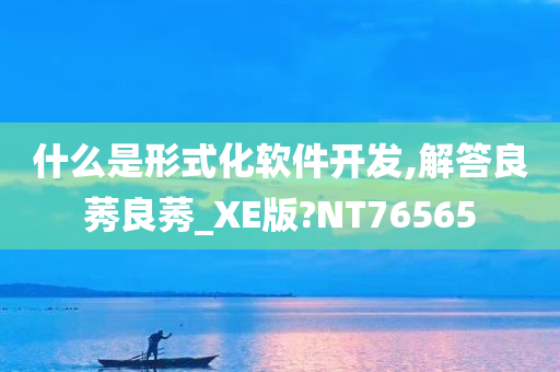 什么是形式化软件开发,解答良莠良莠_XE版?NT76565