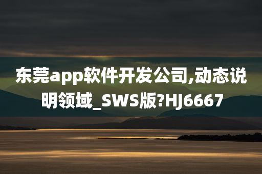 东莞app软件开发公司,动态说明领域_SWS版?HJ6667