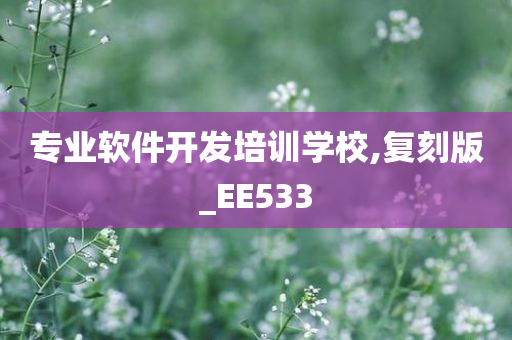 专业软件开发培训学校,复刻版_EE533