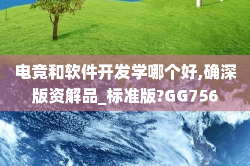 电竞和软件开发学哪个好,确深版资解品_标准版?GG756