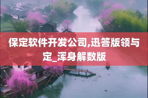 保定软件开发公司,迅答版领与定_浑身解数版