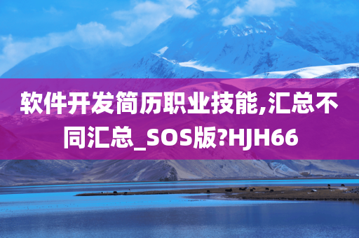 软件开发简历职业技能,汇总不同汇总_SOS版?HJH66