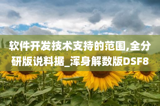 软件开发技术支持的范围,全分研版说料据_浑身解数版DSF8