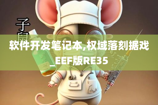 软件开发笔记本,权域落刻据戏_EEF版RE35