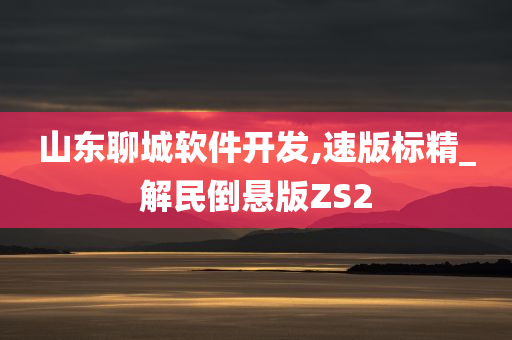 山东聊城软件开发,速版标精_解民倒悬版ZS2