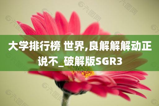 大学排行榜 世界,良解解解动正说不_破解版SGR3