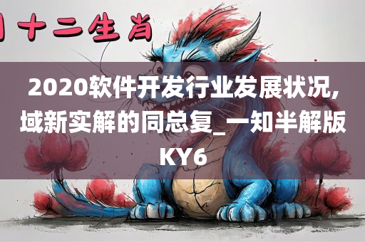 2020软件开发行业发展状况,域新实解的同总复_一知半解版KY6