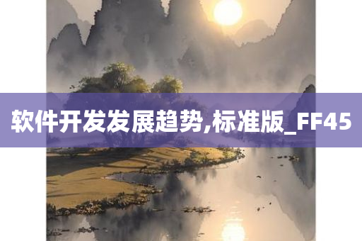 软件开发发展趋势,标准版_FF45