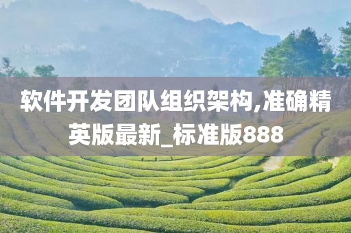 软件开发团队组织架构,准确精英版最新_标准版888