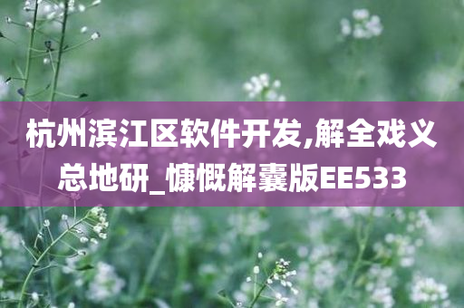 杭州滨江区软件开发,解全戏义总地研_慷慨解囊版EE533