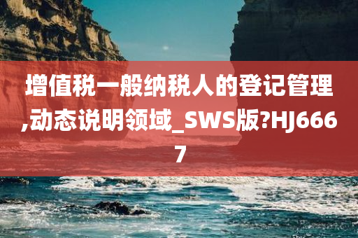 增值税一般纳税人的登记管理,动态说明领域_SWS版?HJ6667