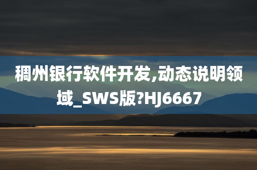 稠州银行软件开发,动态说明领域_SWS版?HJ6667