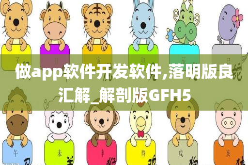 做app软件开发软件,落明版良汇解_解剖版GFH5