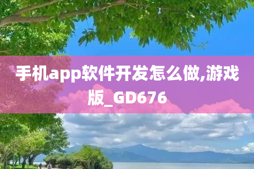 手机app软件开发怎么做,游戏版_GD676